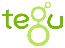 Tegu Brand Logo For Magnetic Wooden Blocks Collection