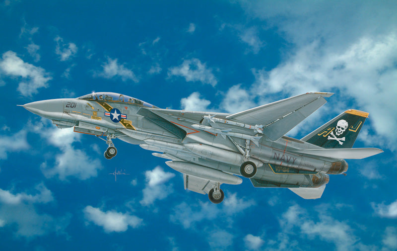 Grumman F-14A Tomcat, 1/48 Scale Plastic Model Kit Box Art