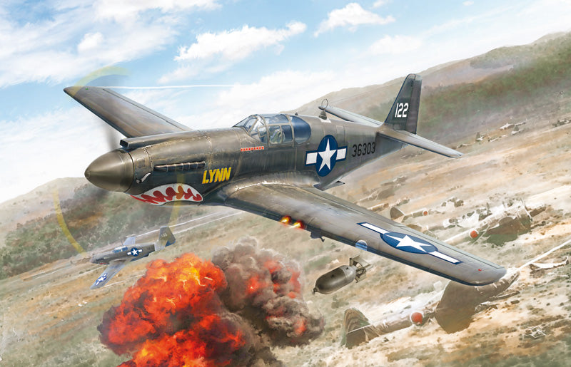 North American P-51A Mustang 1/72 Scale Model Kit Art