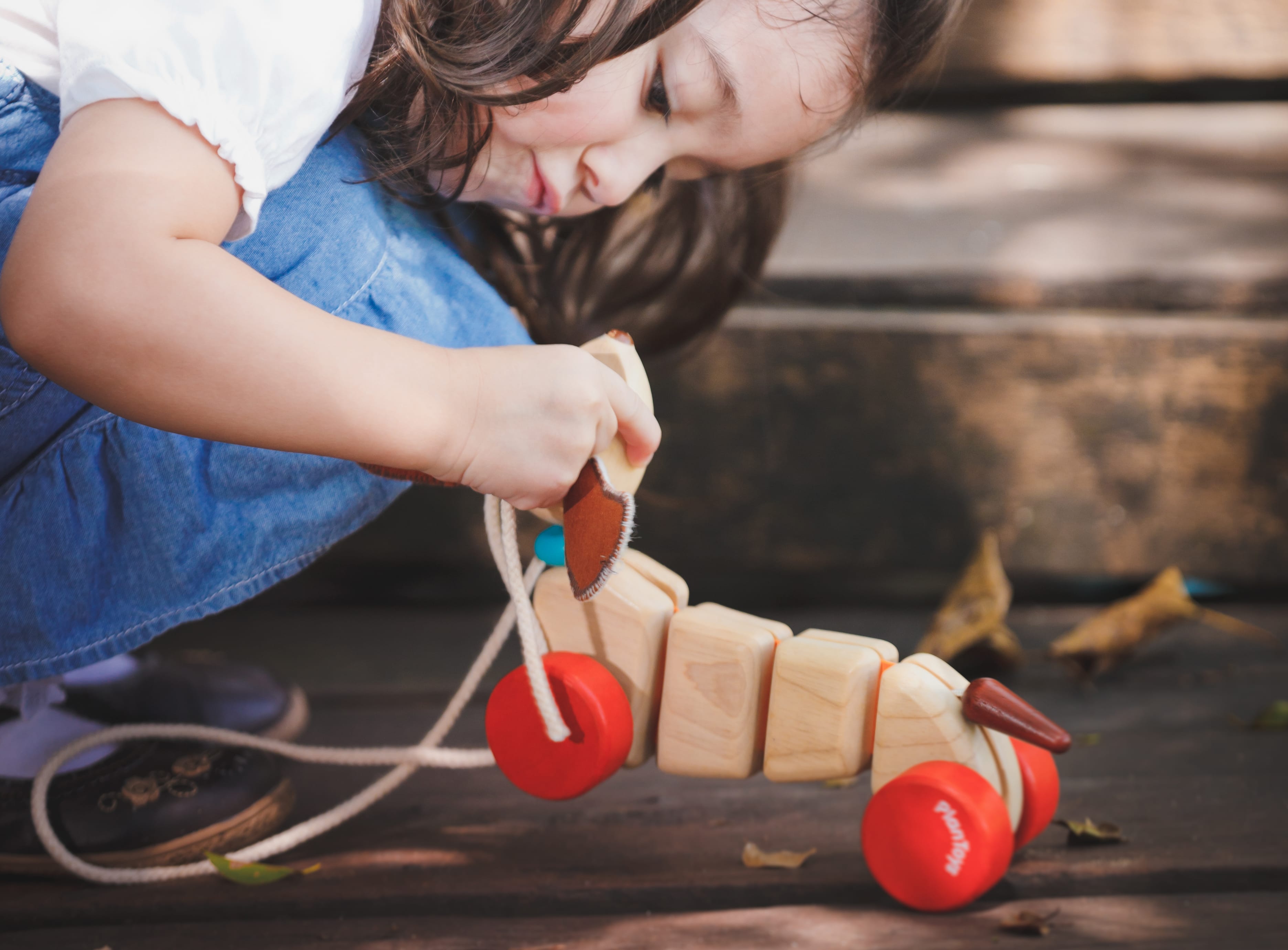 Happy Puppy Wooden Pull Toy At PLay