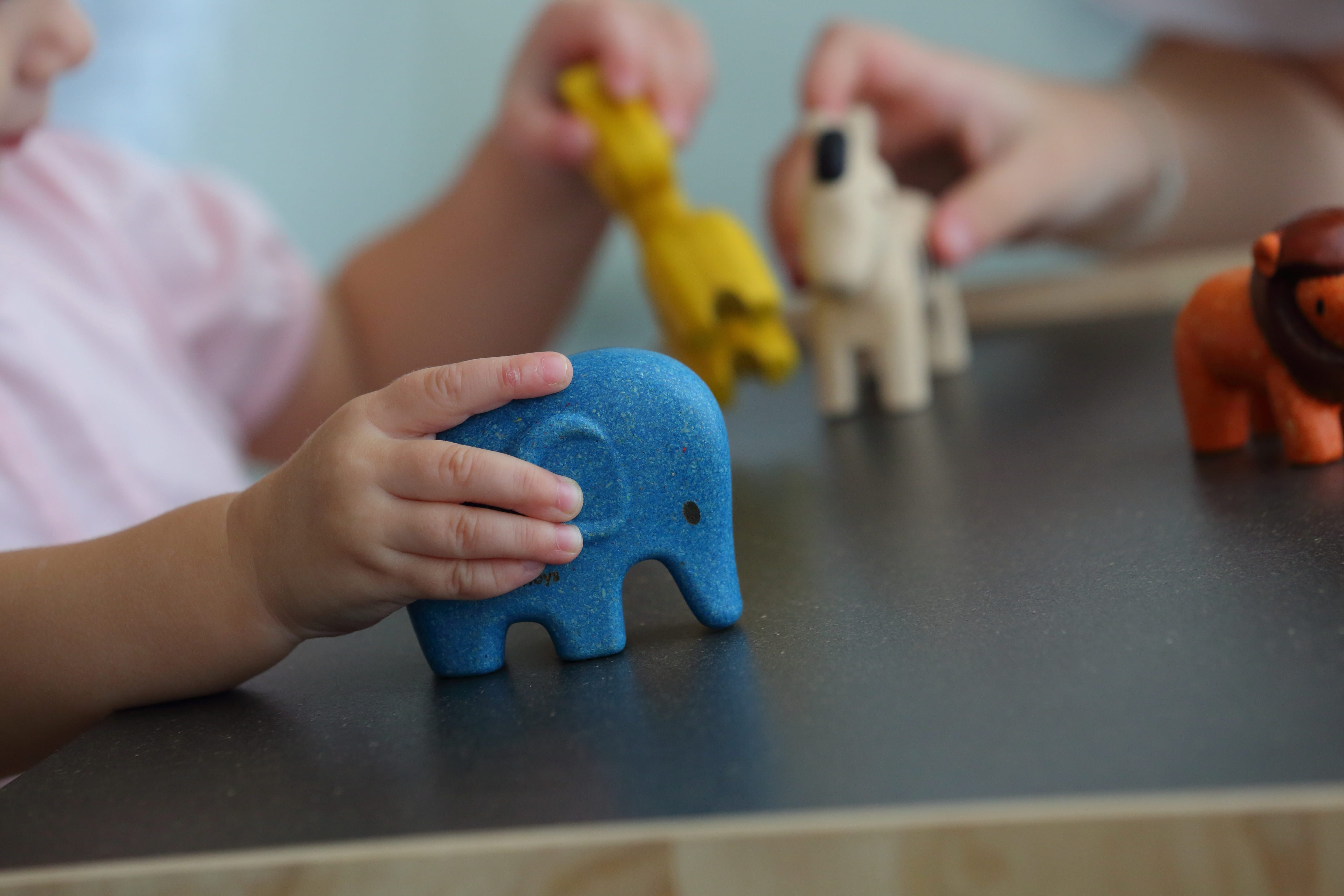 Plan Toys Wild Animals Set Close Up