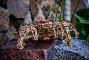 Hexapod Explorer Mechanical Spiderbot Model Kit In The Wild