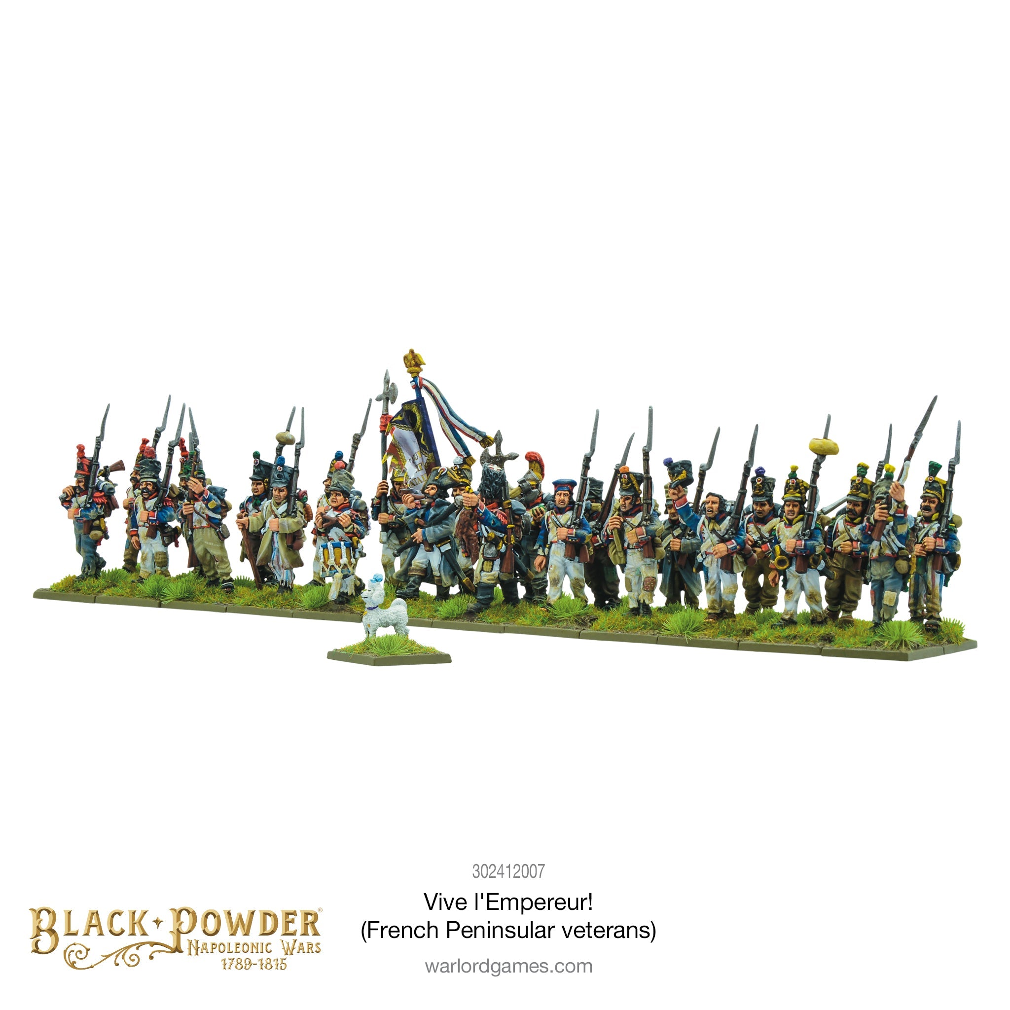 Black Powder Napoleonic Wars Vive L’Empereur! (French Peninsular Veterans), 28 mm Scale Model Figures Painted Example