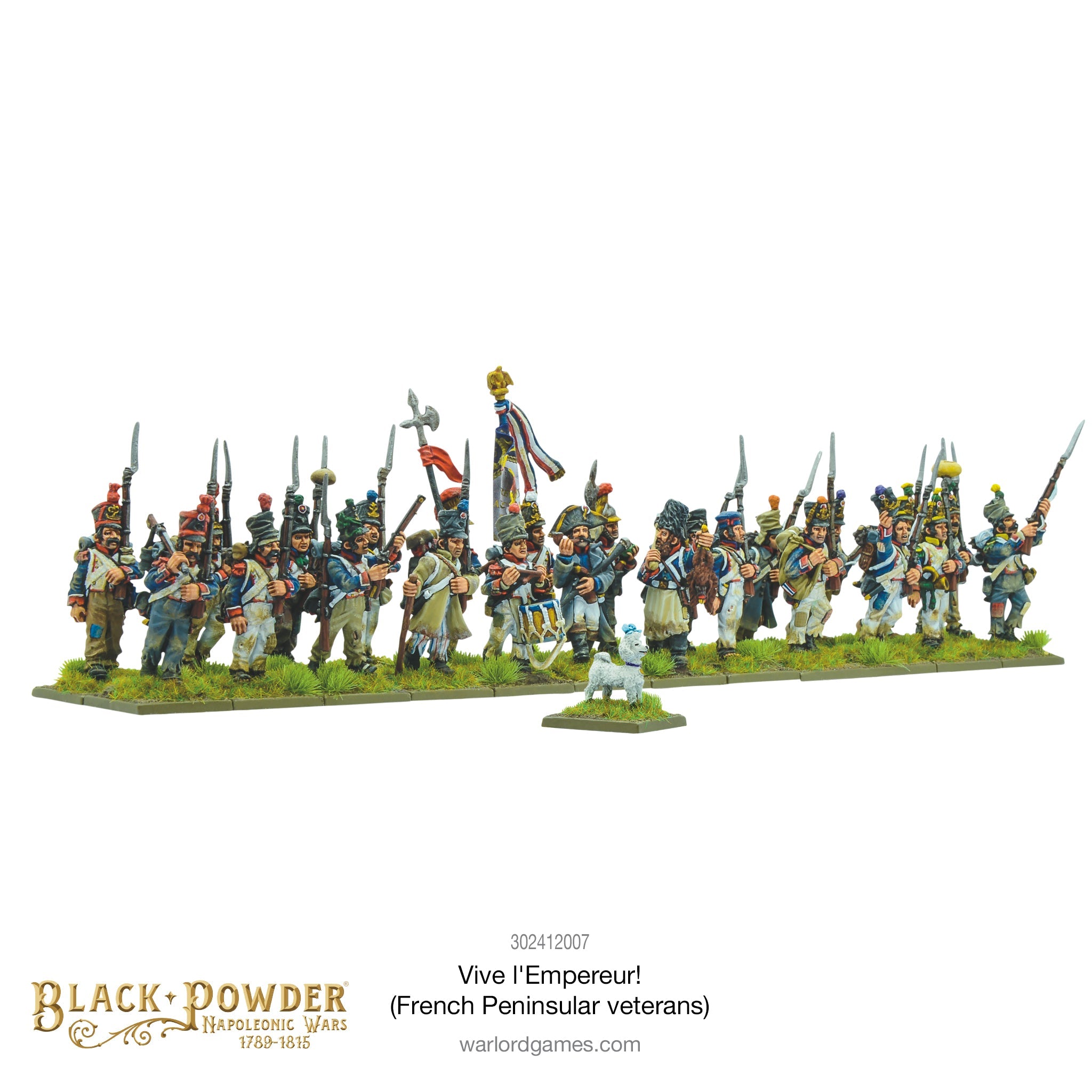 Black Powder Napoleonic Wars Vive L’Empereur! (French Peninsular Veterans), 28 mm Scale Model Figures Painted Example