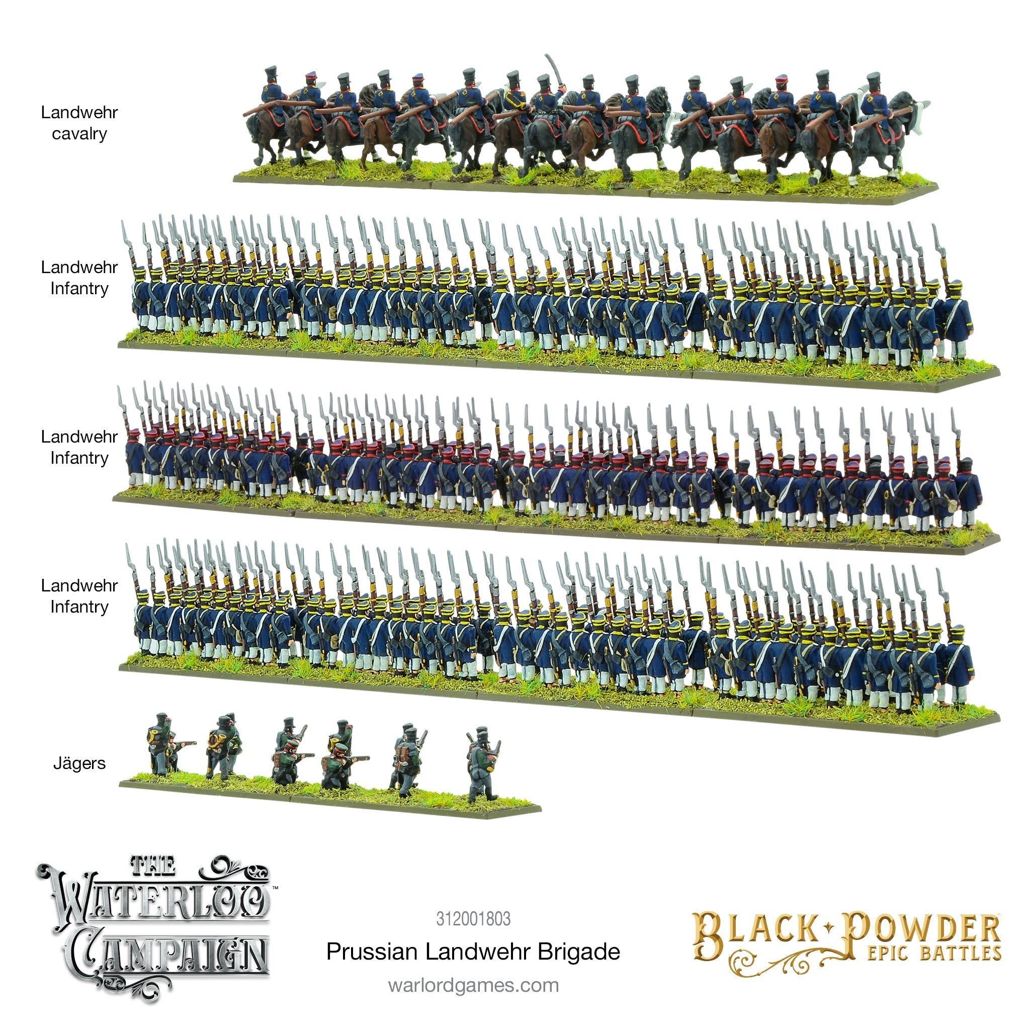 Black Powder Epic Battle The Waterloo Campaign Prussian Landwehr Brigade Rear View