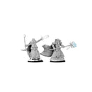 D&D Nolzur’s Marvelous Unpainted Miniatures: Human Wizard Assembled Figures