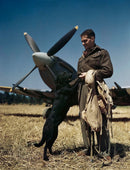 Johnnie Johnson & His Labrador  Normandy Summer 1944 