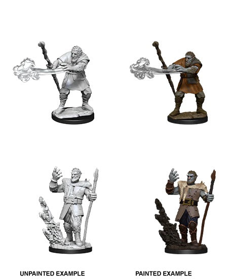 D&D Nolzur’s Marvelous Unpainted Miniatures: Firblog Druid