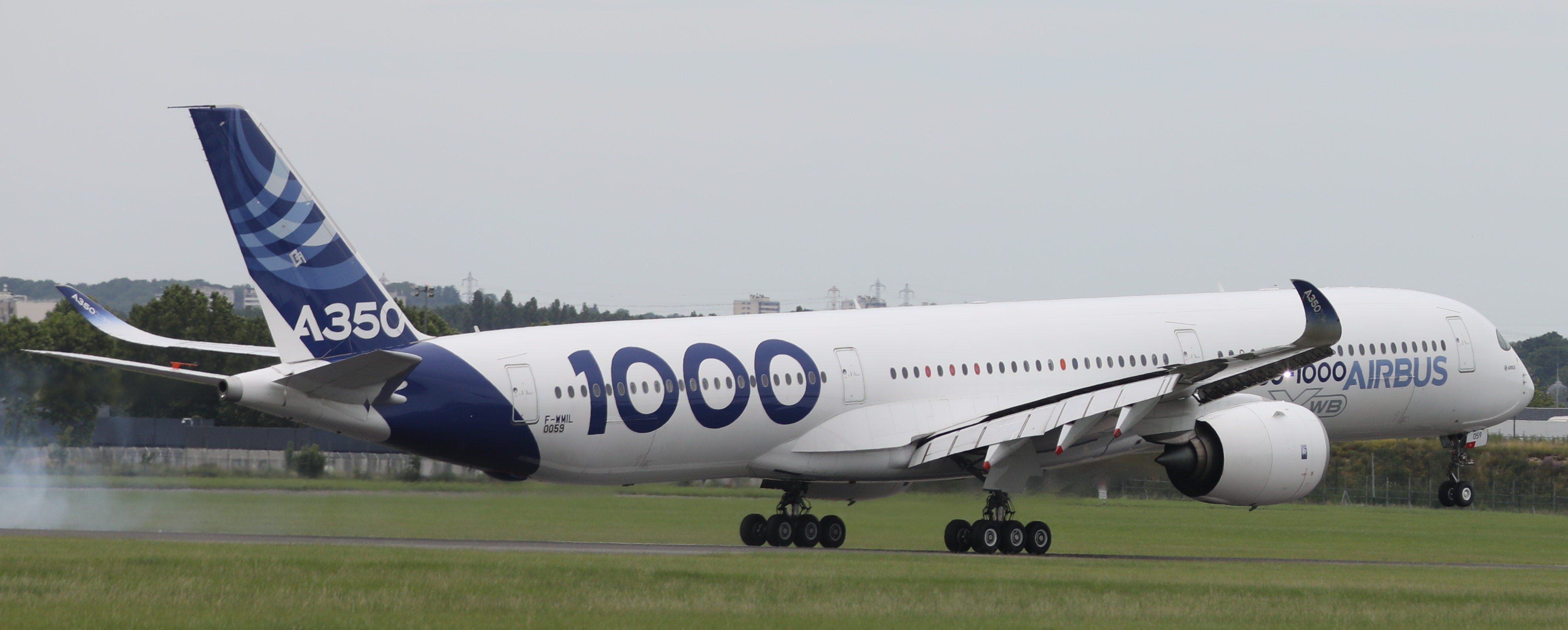 Airbus A350-1000 (F-WMIL) Flaps Down,