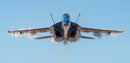 Blue Angels Super Hornet Front View Pensacola, FL