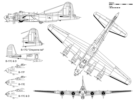 Boeing B-17 Flying Fortress Variations Illustration