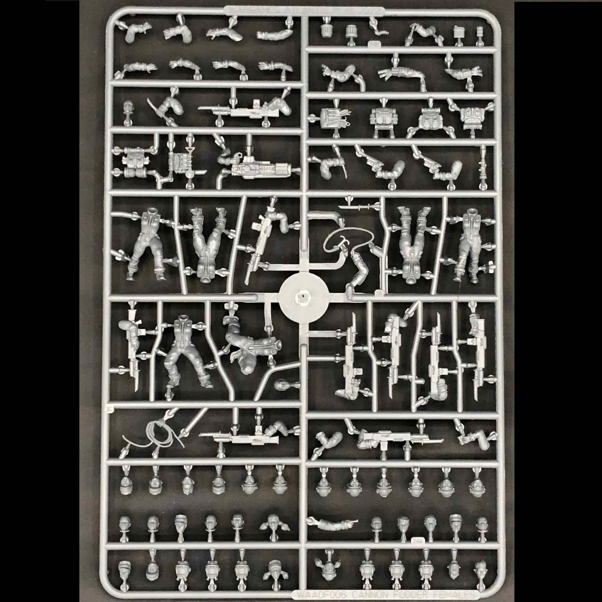 Cannon Fodder 2 Females, 28 mm Scale Model Plastic Figures Example Frame