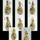 Skeleton Cavalry and Chariots, 28 mm Scale Model Plastic Figures Mounted Skeleton Close Ups