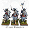 Medieval & Fantasy Heads, Cloaks & Shields, 28 mm Scale Plastic Painted Example Elven Knights