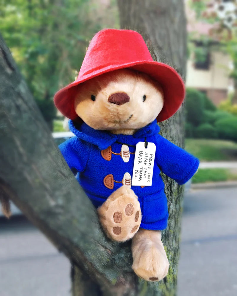 Classic Seated Paddington Bear 8.5” Soft Toy At PLay