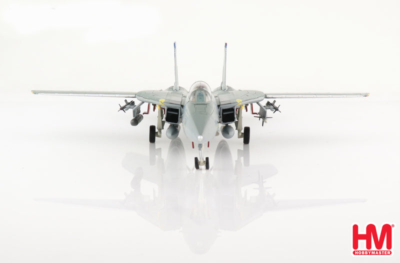 Grumman F-14B Tomcat, VF-143 “Pukin Dogs” USS John F. Kennedy 2002, 1:72 Scale Diecast Model Front View