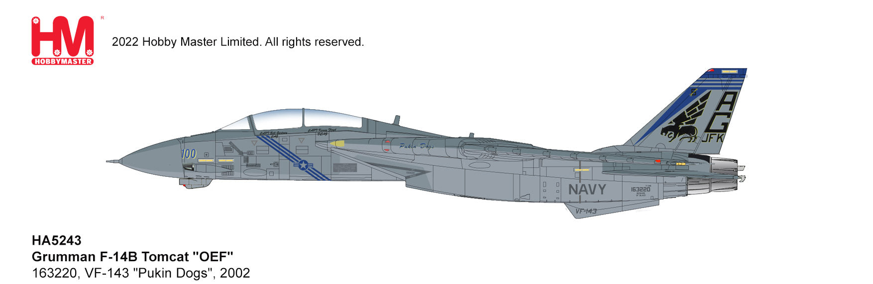 Hobby Master | Grumman F-14B Tomcat, VF-143 “Pukin Dogs” USS John