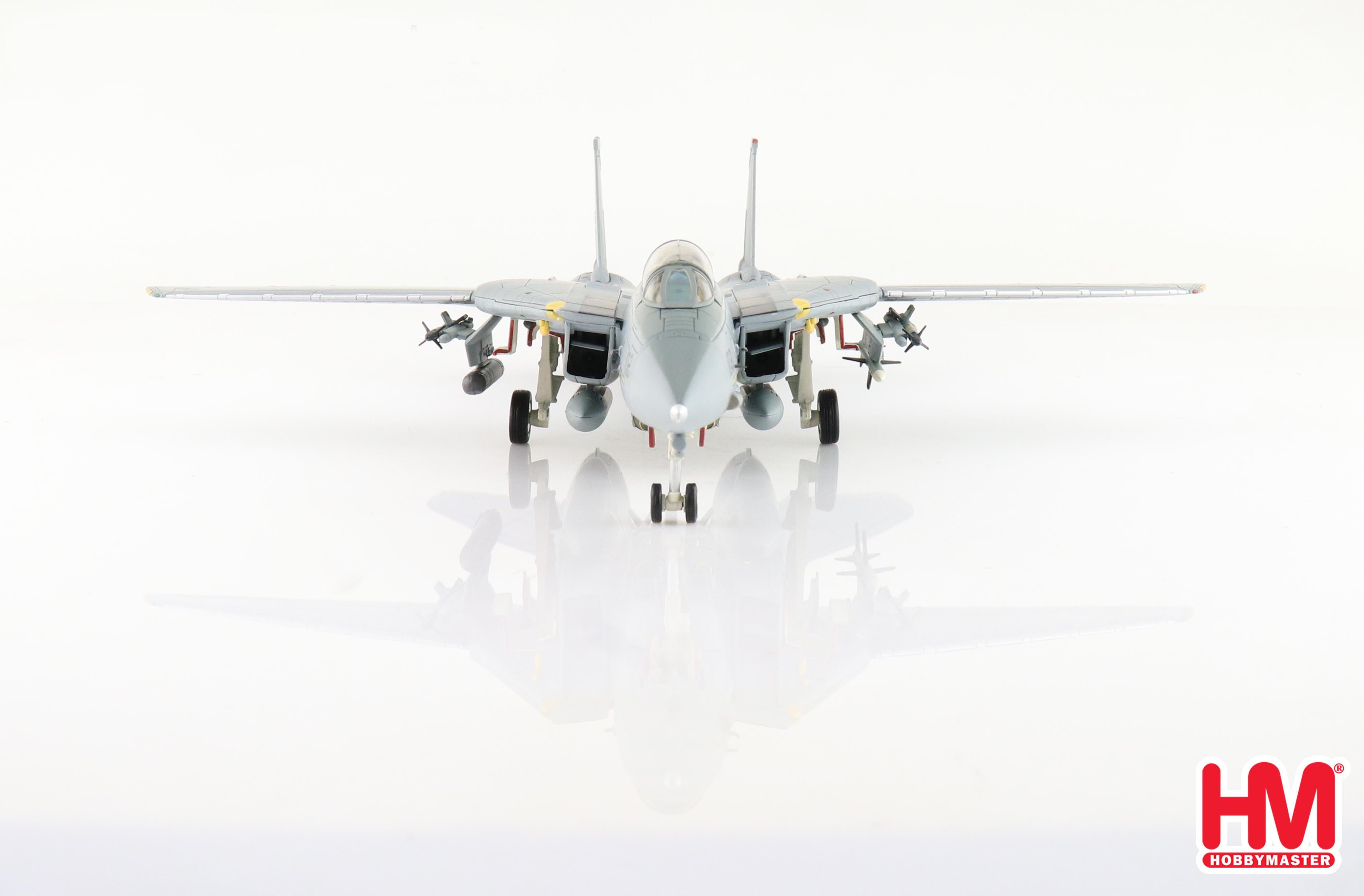 Grumman F-14B Tomcat, VF-103 “Jolly Rogers 2000, 1:72 Scale Diecast Model Front View