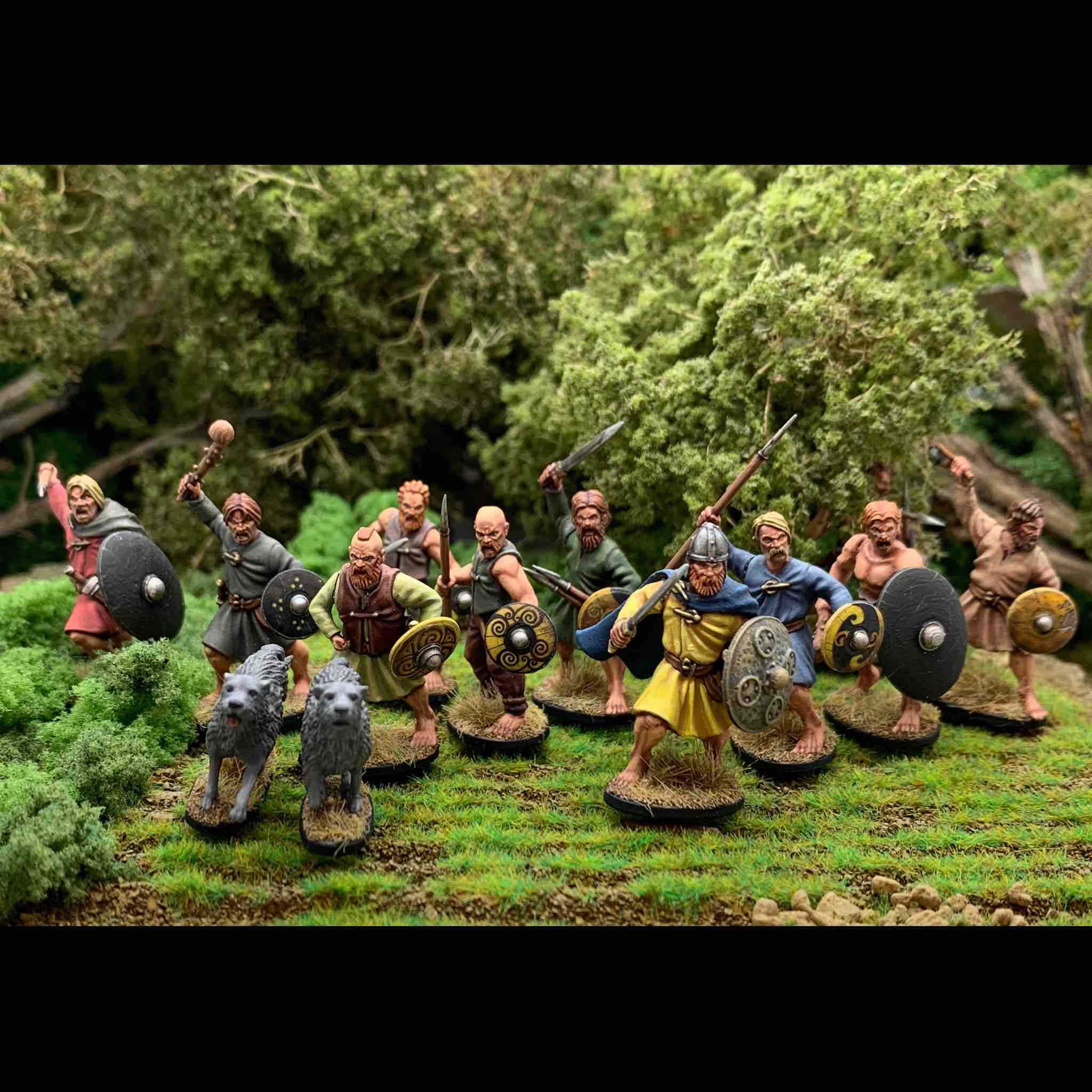 Dark Age Irish Warriors, 28 mm Scale Model Plastic Figures Diorama Example