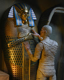 The Mummy Accessory Set