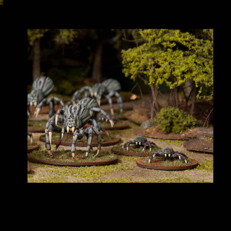 Giant Spiders, 28 mm Scale Model Plastic Figures Large & Small Close Up