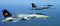 Grumman F-14B Tomcat VF-11 “Red Rippers”  & FA-18F In flight 2005