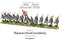 Black Powder Napoleonic Wars French Line Infantry 1806-1810, 28 mm Scale Model Figures Painted example