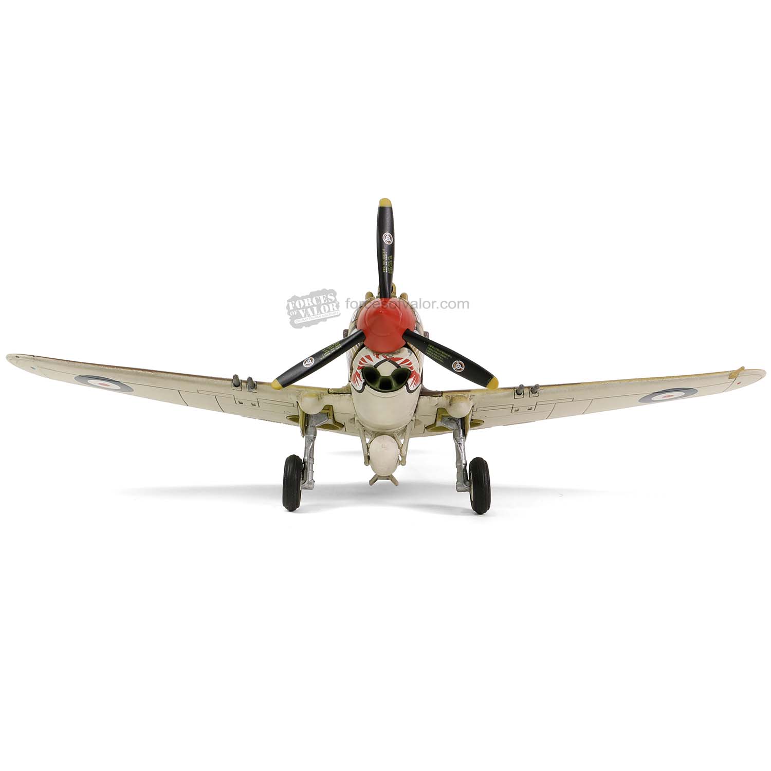 Curtiss P-40B / Tomahawk Mk IIB No.112 Squadron. RAF North Africa 1941, 1:72 Scale Model Front View