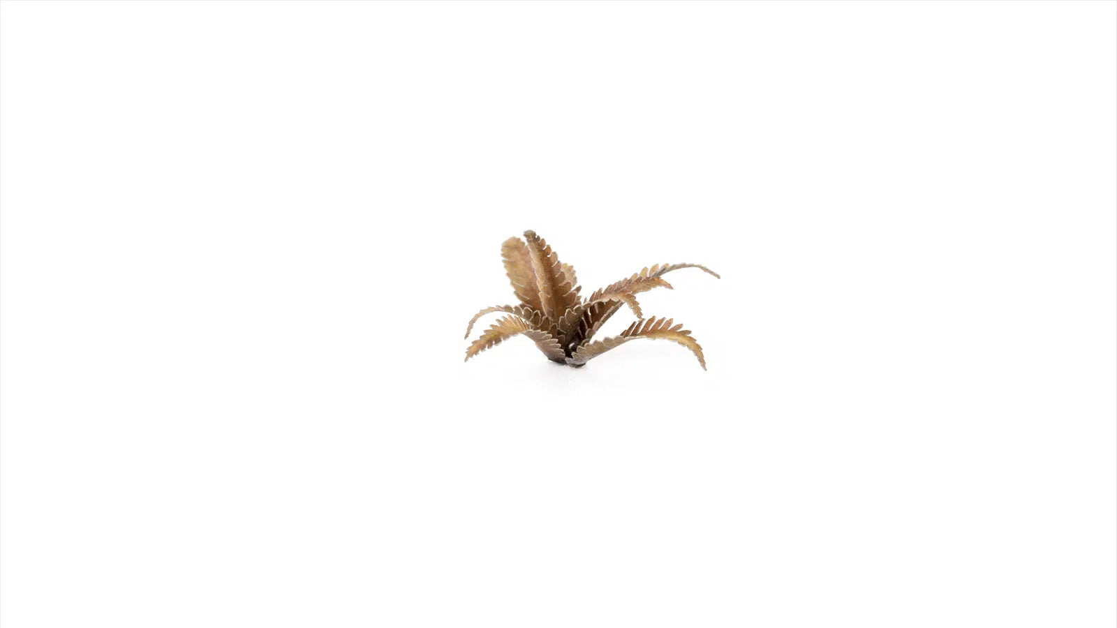 Detailed view of the reddish-brown maturation variant within the GamersGrass Deer Fern set