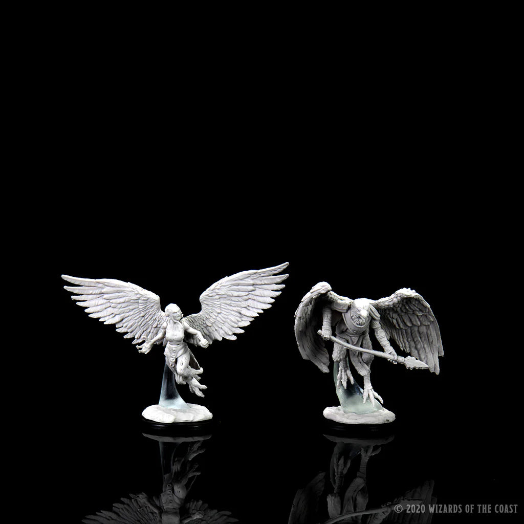 D&D Nolzur’s Marvelous Miniatures: Harpy & Aarakocra