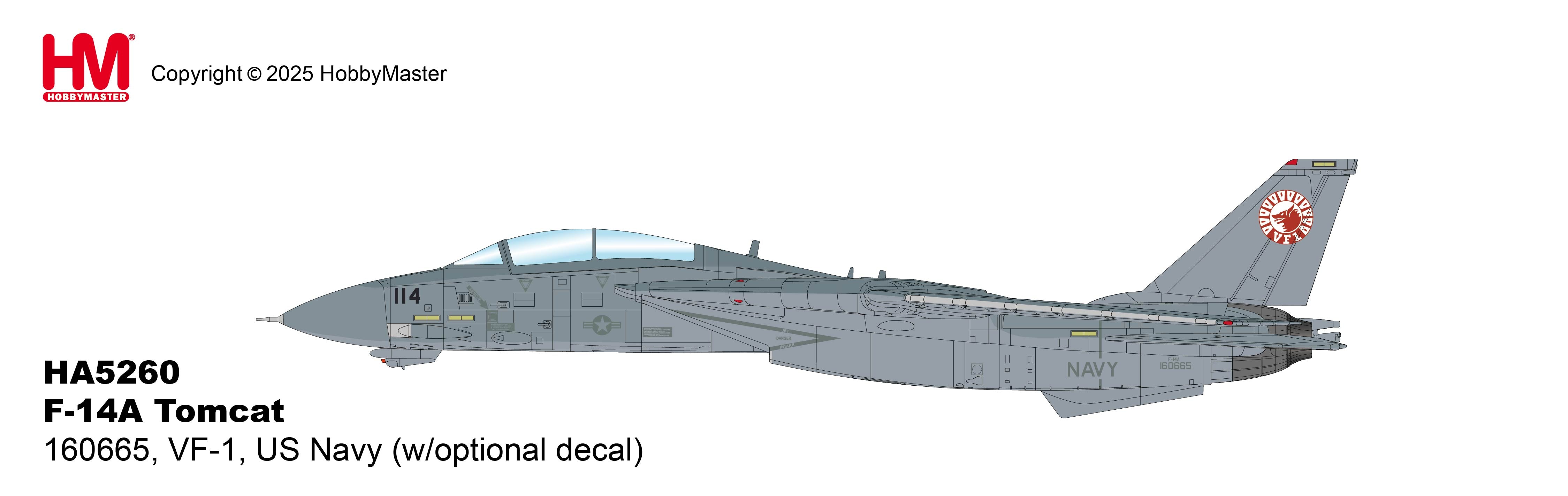 Schematic art illustration of Hobby Master F-14A Tomcat VF-1 Top Gun aircraft
