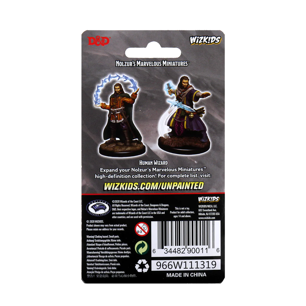 D&D Nolzur’s Marvelous Miniatures: Male Human Wizard Back of Package