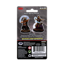 D&D Nolzur’s Marvelous Miniatures: Male Human Wizard Back of Package