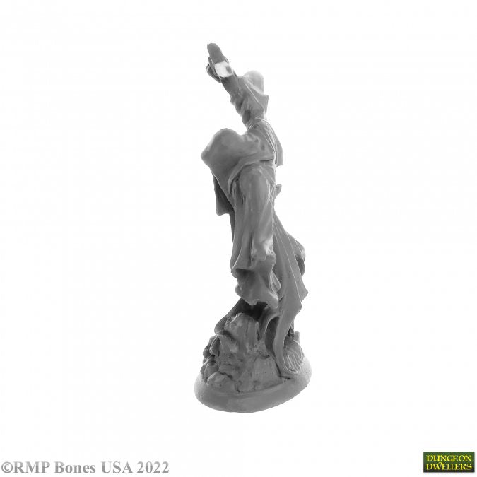 Left Side View Reaper Miniatures Cairn Wraith 28mm scale collectible fantasy miniature