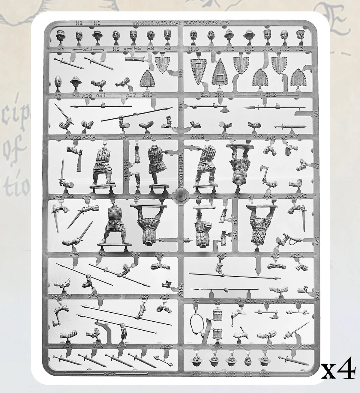 Full layout of the Victrix 28mm Medieval Foot Sergeants gray plastic sprue showing bodies weapons and helmets 

