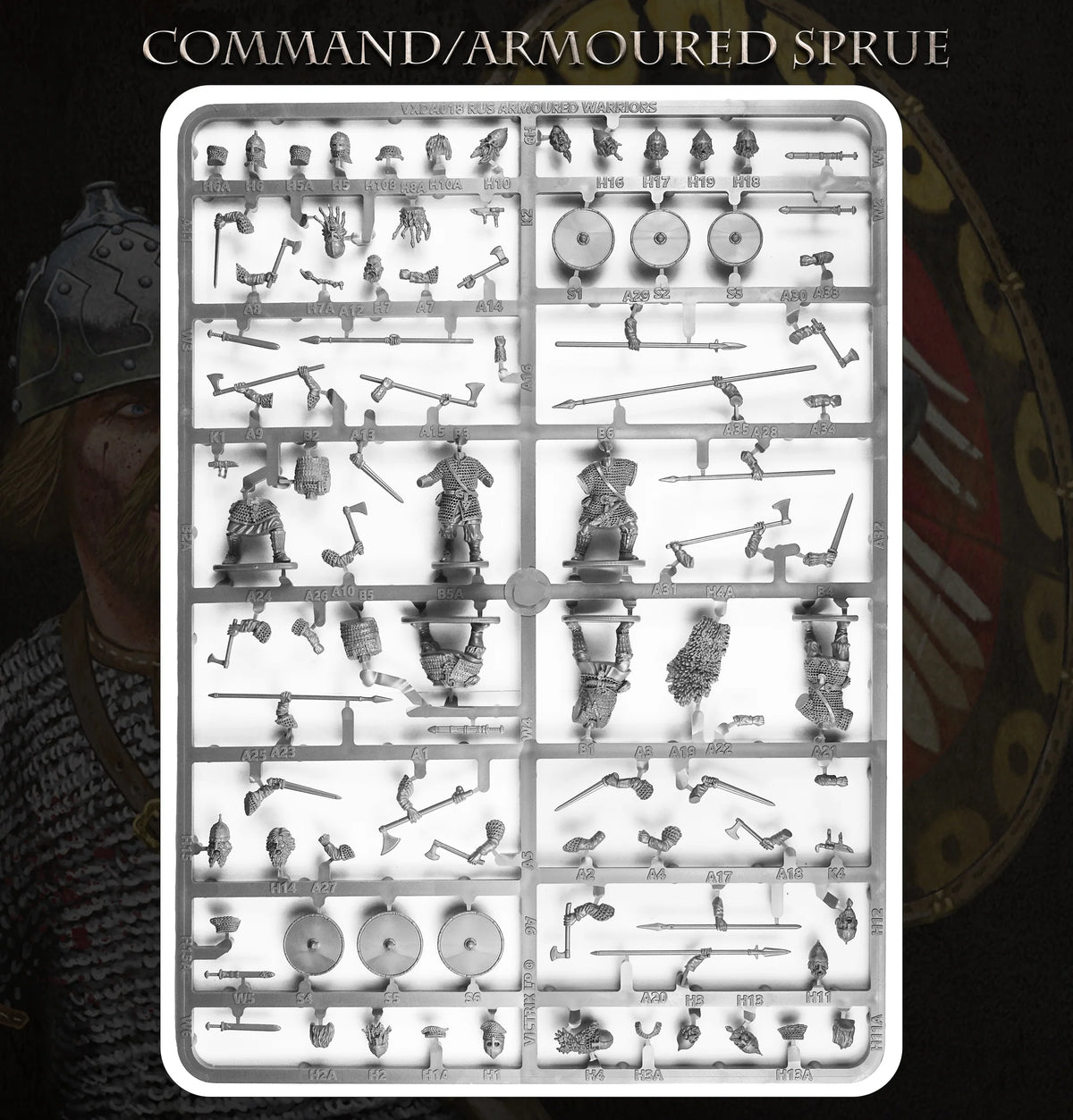 Gray plastic sprue layout showing Victrix 28mm Rus command and armored warrior bodies weapons and shields 