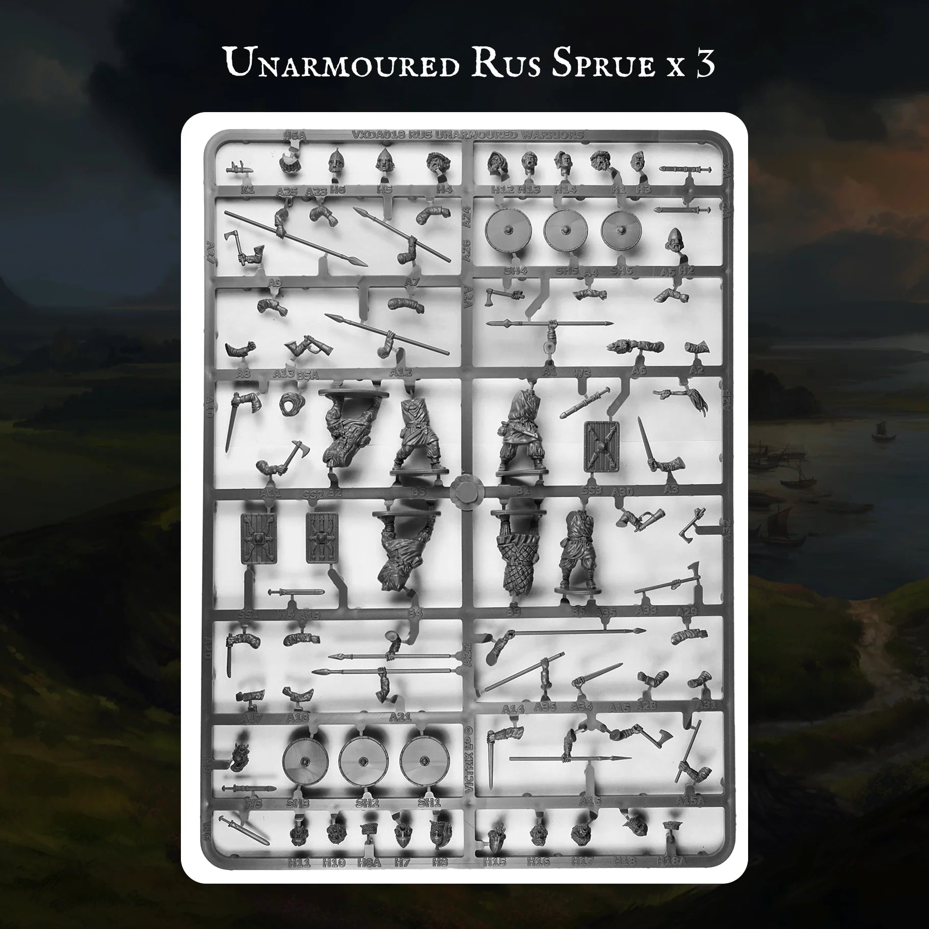 Unarmoured Sprues From Victrix Ltd Pillage Rus Warband 28mm Scale Plastic Kit