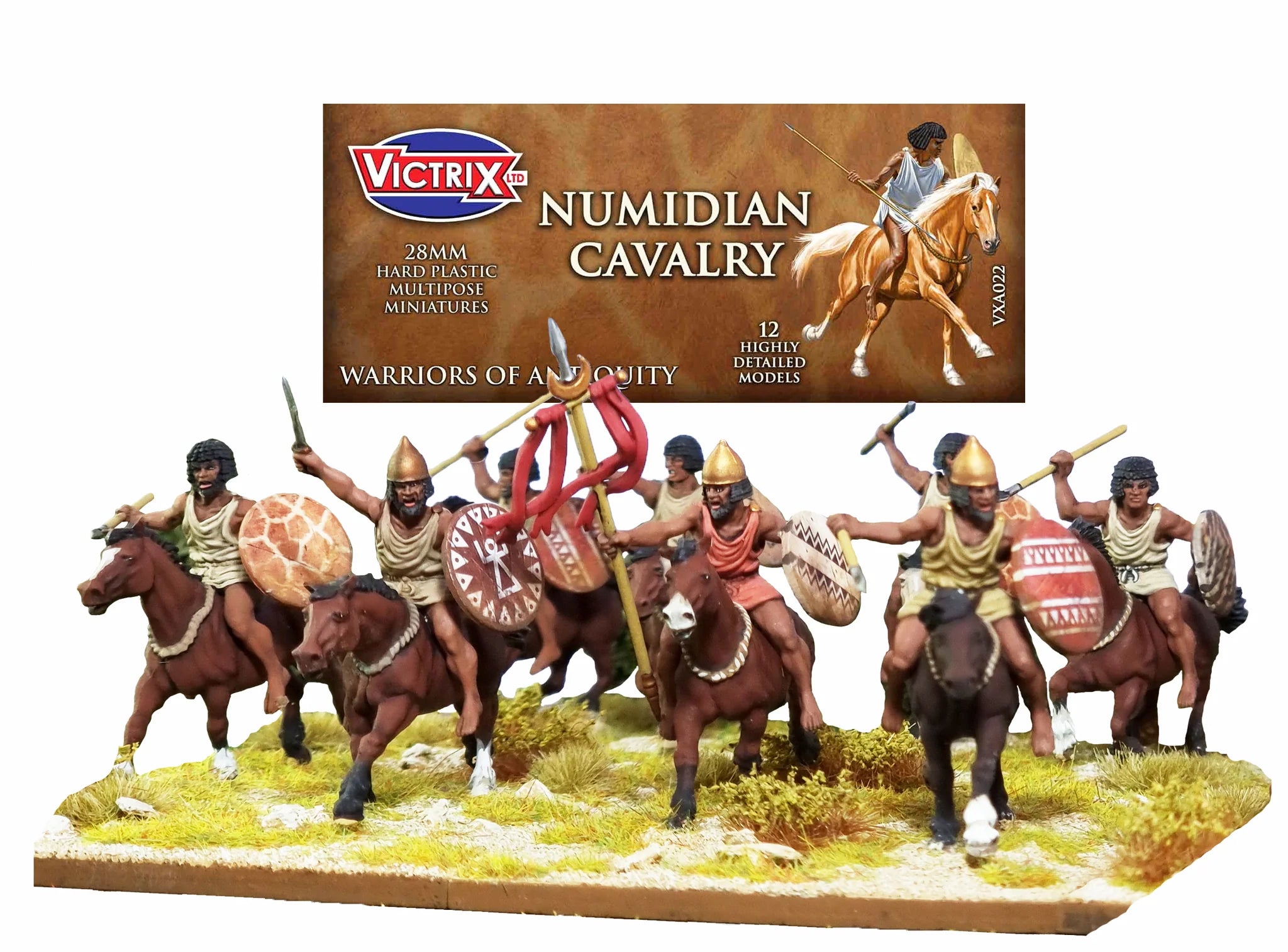 Victrix Limited 28mm Numidian Cavalry retail packaging with painted miniatures