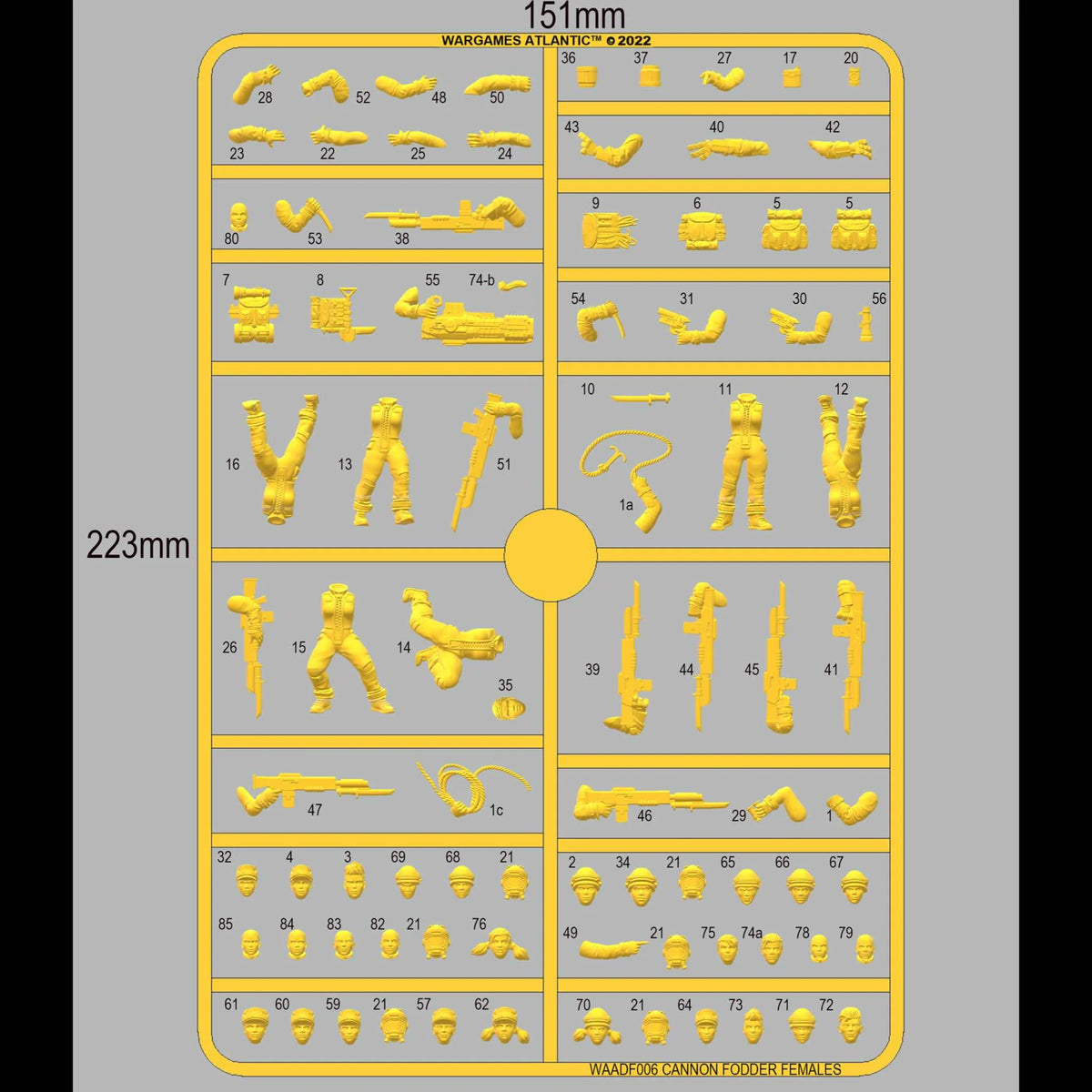 Computer rendered numbered parts layout diagram for the WAADF006 Cannon Fodder Females sprue