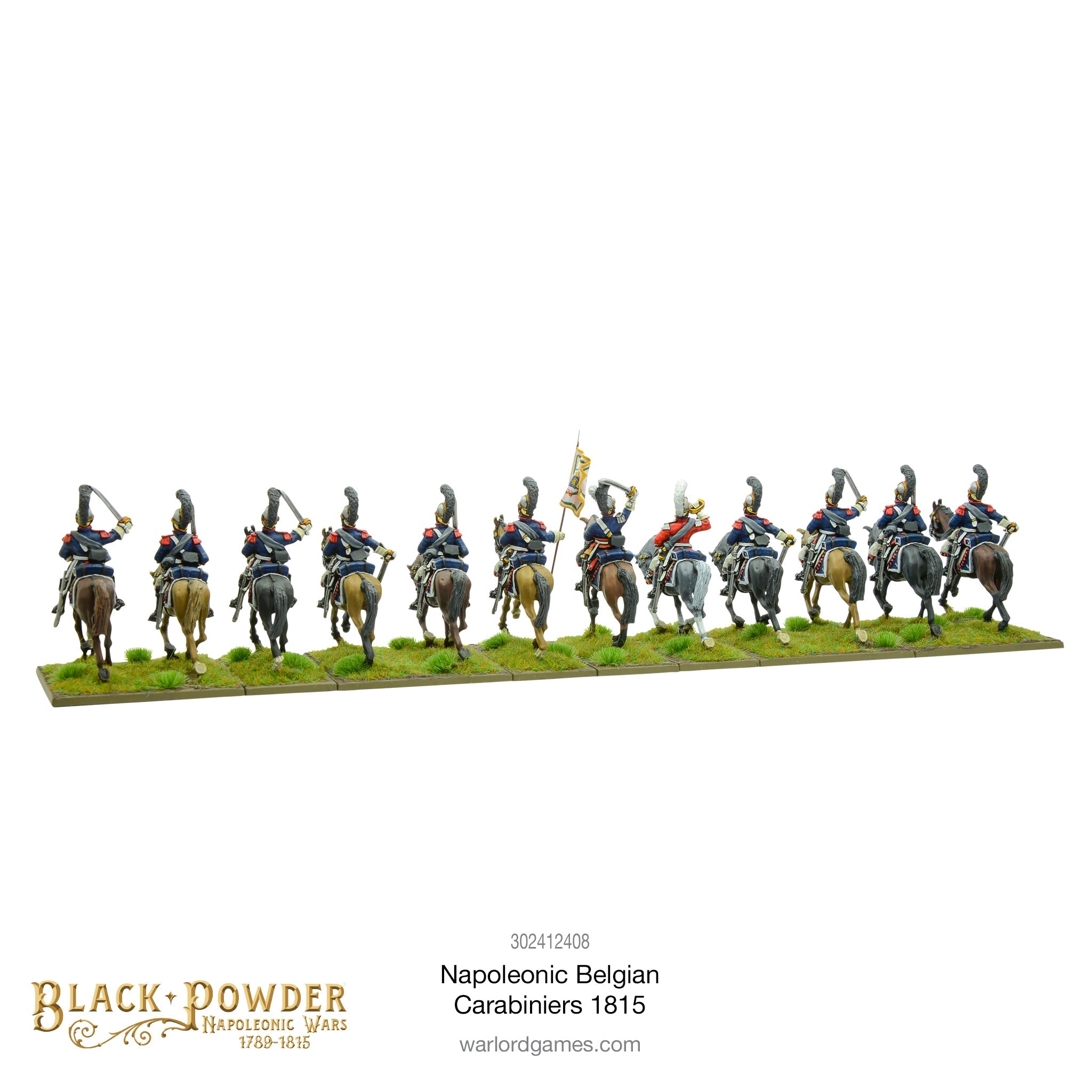 Rear Perspective Alignment Showing Tail Coats, Saddle Packs, and Regimental Standard Flag Bearer