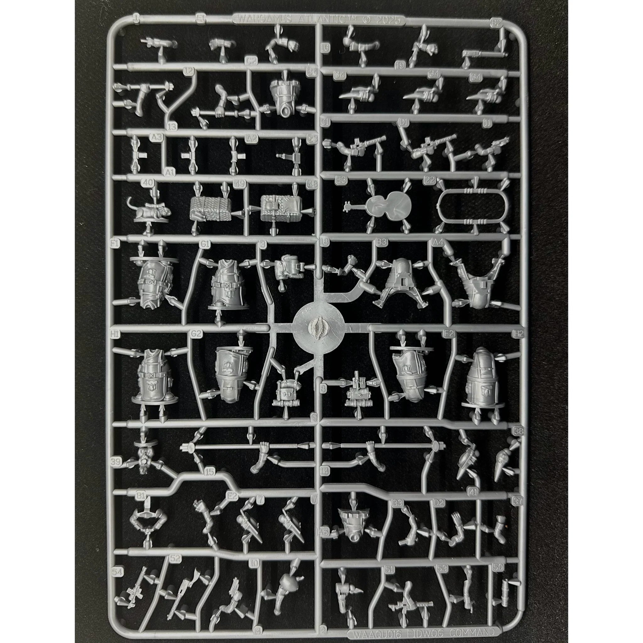 Unpainted gray plastic frame layout containing Quar bodies weapon options and standard poles