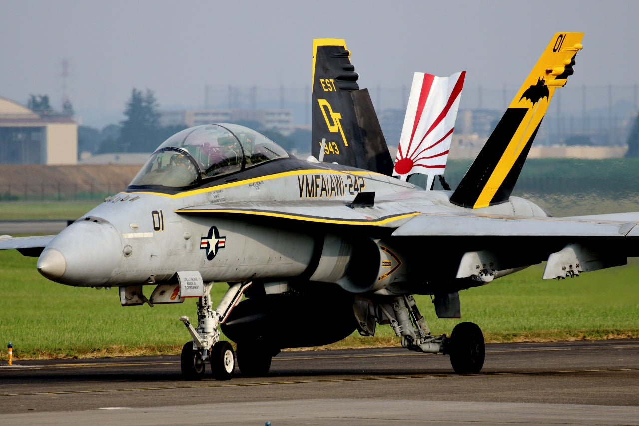 McDonnell Douglas F/A-18D Hornet VMFA(AW)-242 “Bats”  DT-01