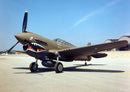 Curtiss P-40E Warhawk "Flying Tigers" Paint Scheme