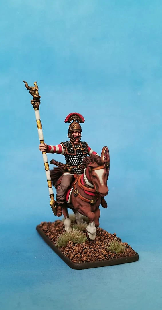 Ancient Gallic Cavalry 28 mm Scale Model Plastic Figures Painted Example