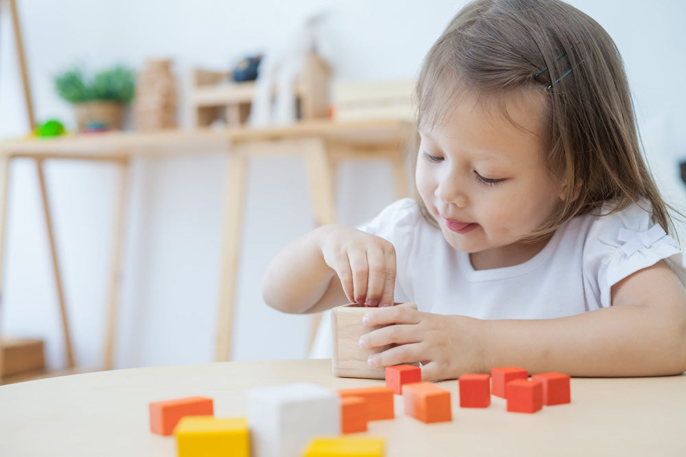 Fraction Cubes Wooden Blocks