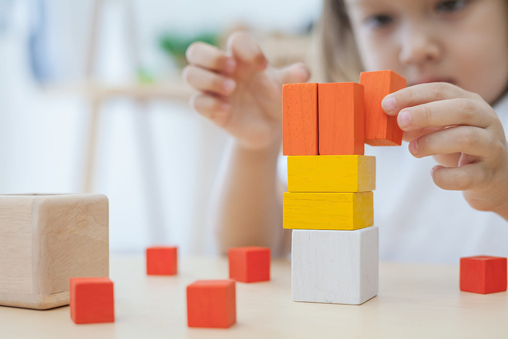 Fraction Cubes Wooden Blocks