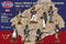 Napoleonic French Voltigeurs Infantry 1805 - 1812, 1/32 (54 mm) Scale Model Plastic Figures