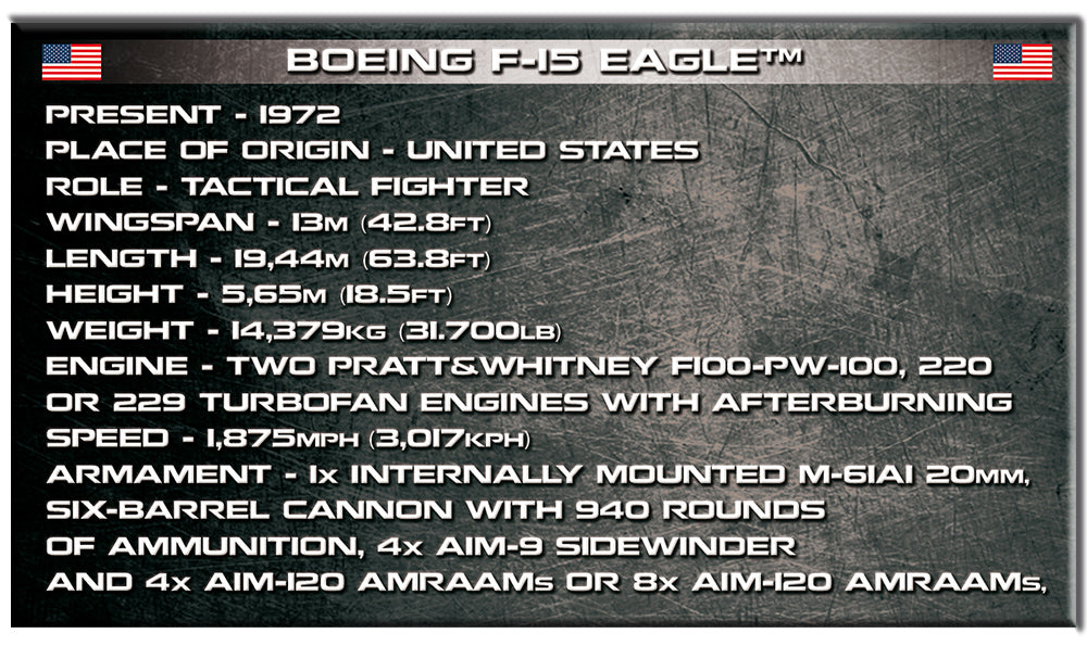 Boeing F-15 Eagle 590 Piece Block Kit Technical Information