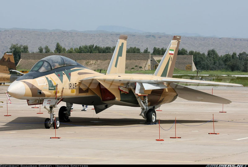 Grumman F-14A Tomcat Islamic Republic of Iran Air Force (IRIAF)