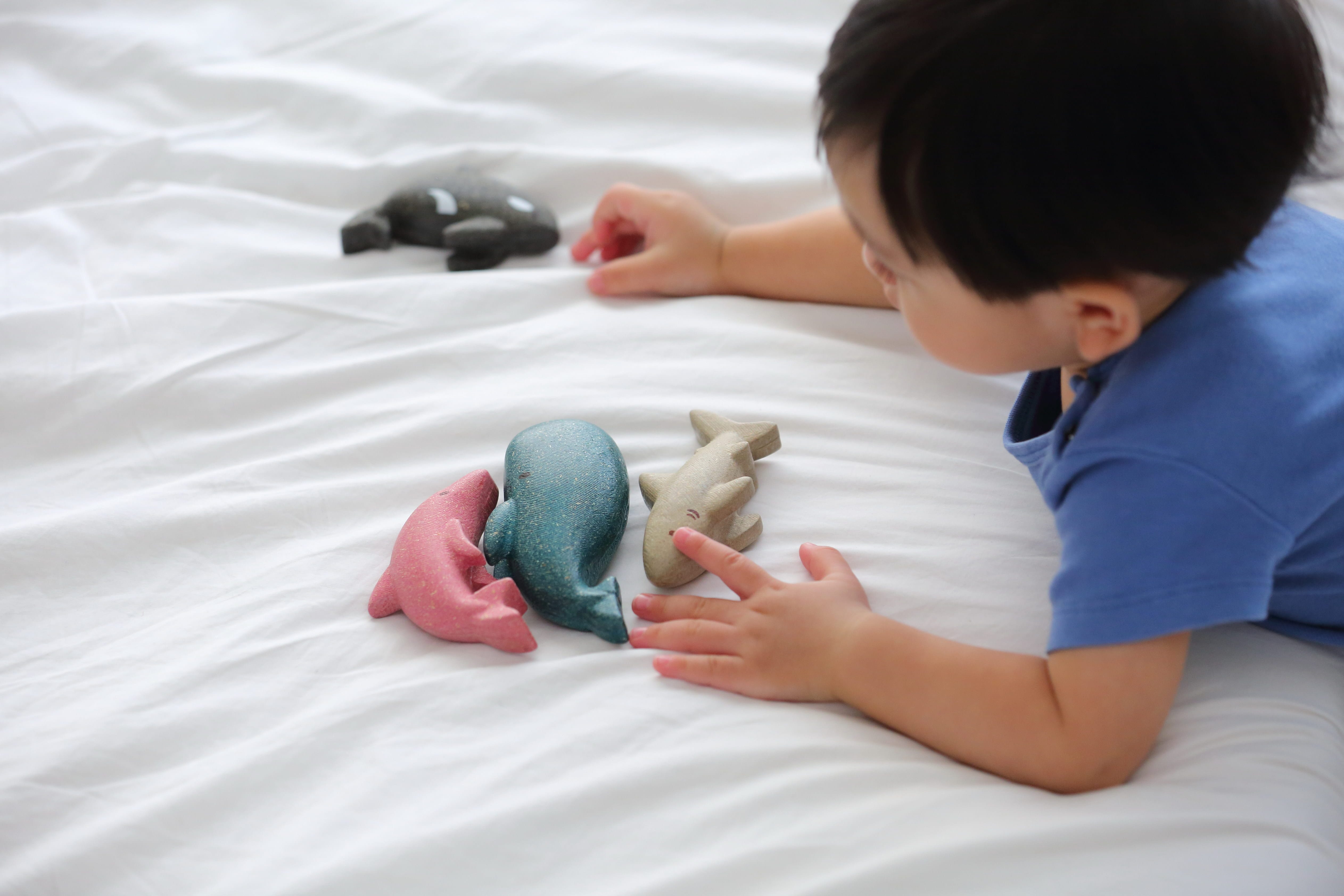 Sea Life Set At Play